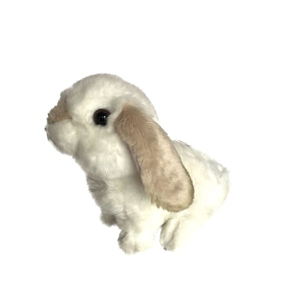 Unbranded White Bunny Rabbit Plush Stuffed Floppy Ears 6" - Picture 1 of 7